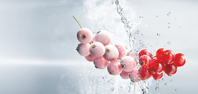 Highlight teaser image of frozen berries. Can be used in SDL website homepage.